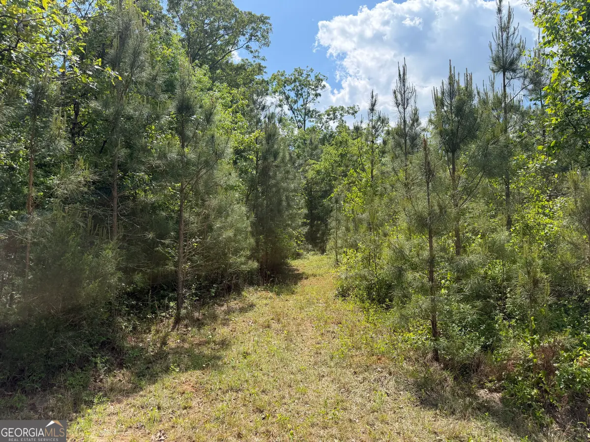 010 George Milling, Cuthbert, GA 39840 - #1