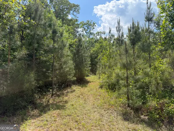 010 George Milling, Cuthbert, GA 39840