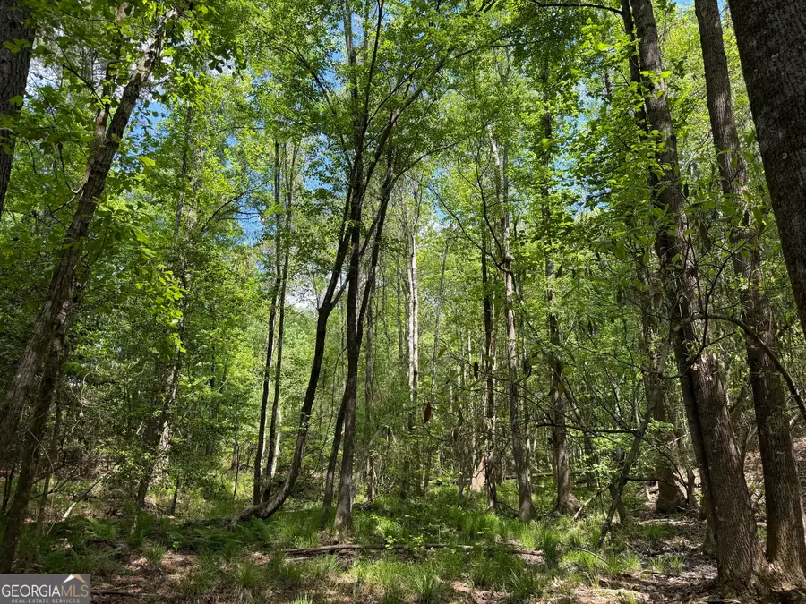 010 George Milling, Cuthbert, GA 39840 - #3