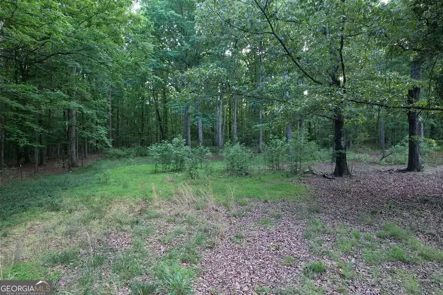 121 Carver Drive, Jefferson, GA 30549 - #3
