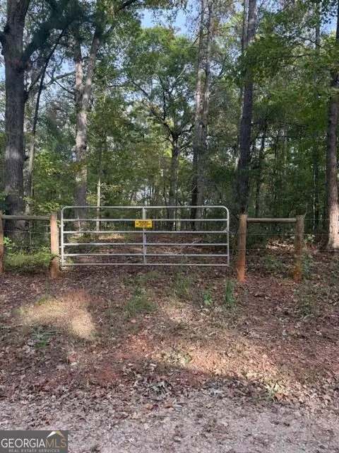 0 Louie Copeland Road, Shiloh, GA 31826