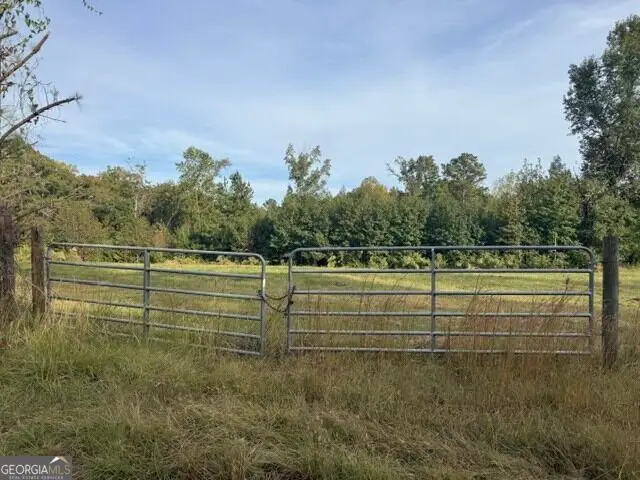 0 Louie Copeland Road, Shiloh, GA 31826 - #2