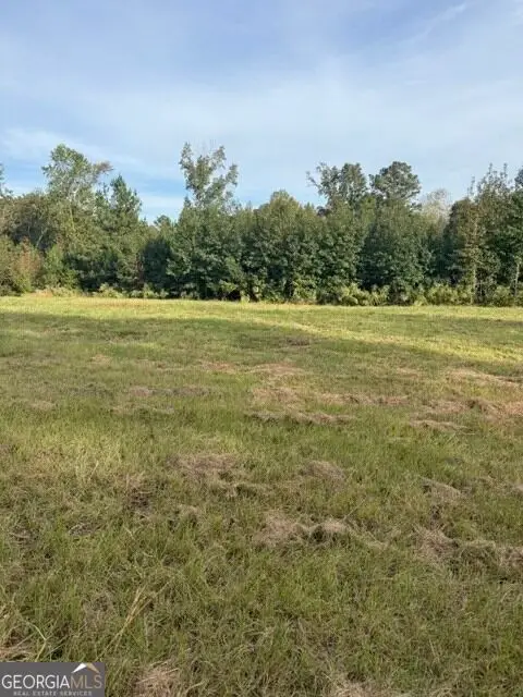 0 Louie Copeland Road, Shiloh, GA 31826 - #3