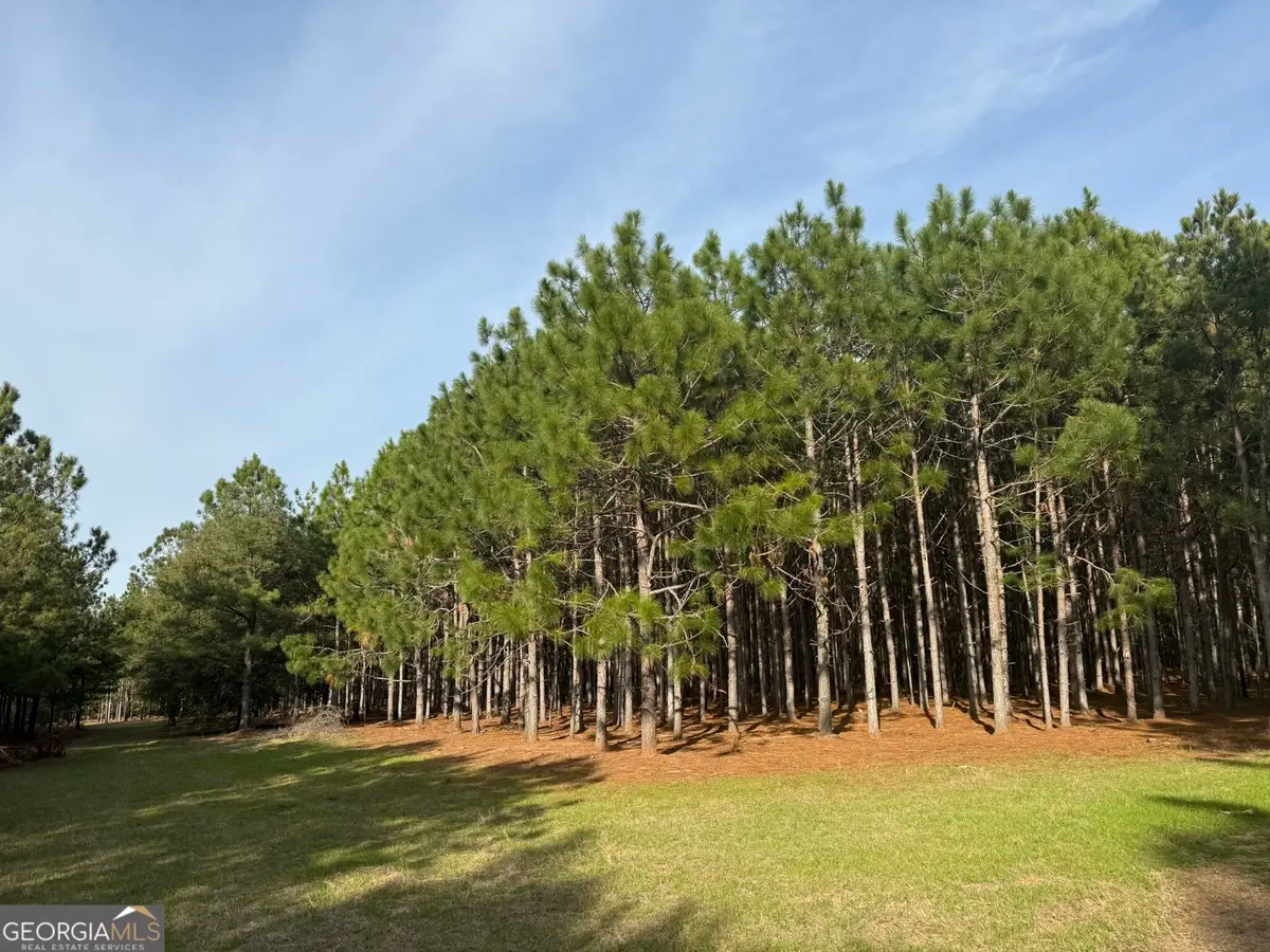 013 State Route 45 Highway, Plains, GA 31780 - #1
