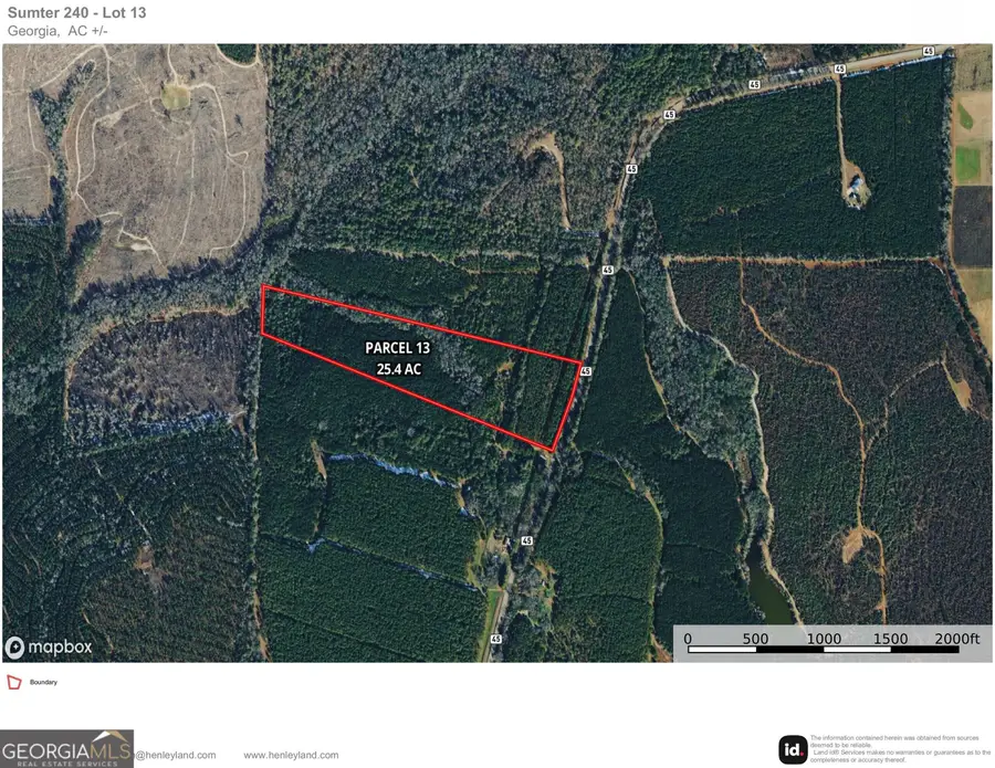 013 State Route 45 Highway, Plains, GA 31780 - #2