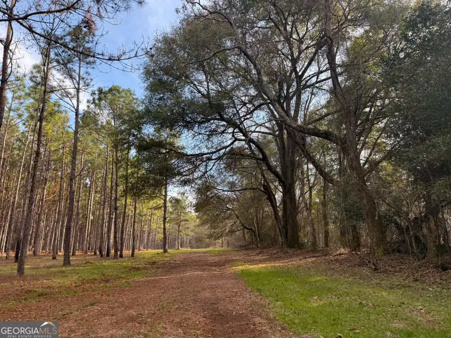 013 State Route 45 Highway, Plains, GA 31780 - #3