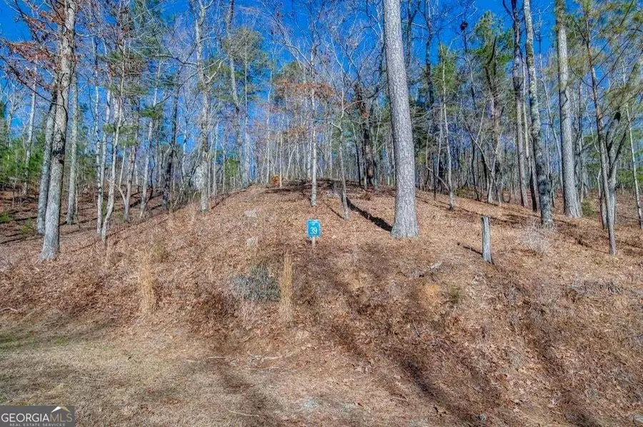 39 Harris Creek Drive, Ellijay, GA 30540 - #3