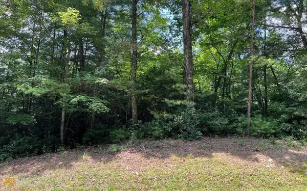 LOT 32 Fires Creek Cove, Hayesville, NC 28904