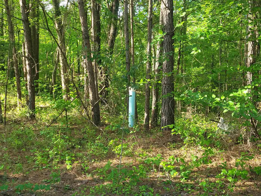 7116 Browns Mill Road, Lithonia, GA 30038 - #3