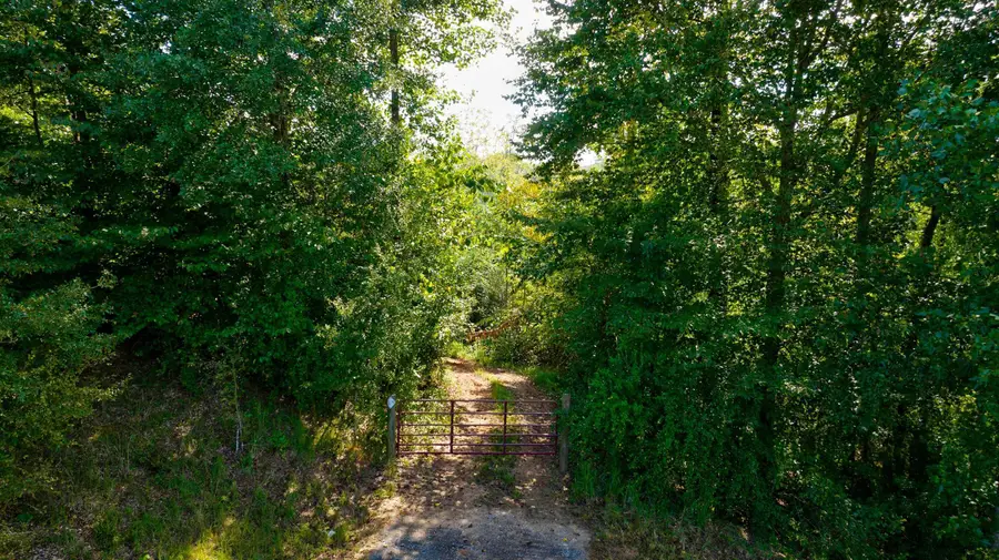 0 Mccoy Bridge Road, Homer, GA 30547 - Image #3