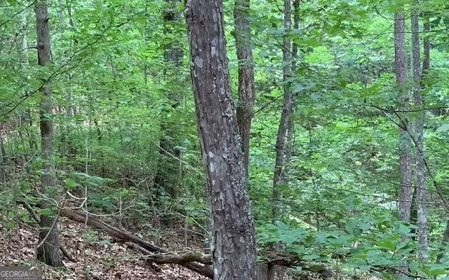 #1