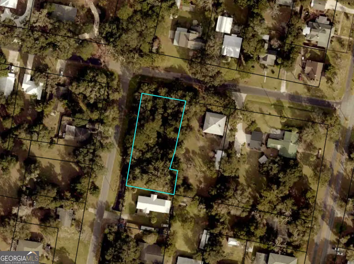 0 Weed And Seagrove Corner, Saint Marys, GA 31558 - #1