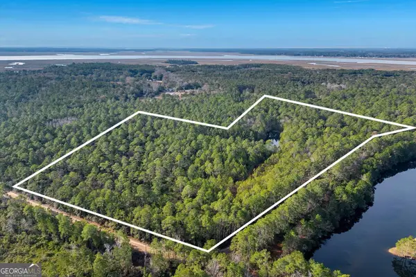 0 Steeple Chase Lane, Richmond Hill, GA 31324