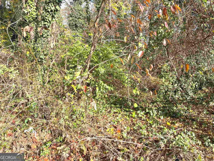 0 Jonesboro Road, Morrow, GA 30260 - Image #3