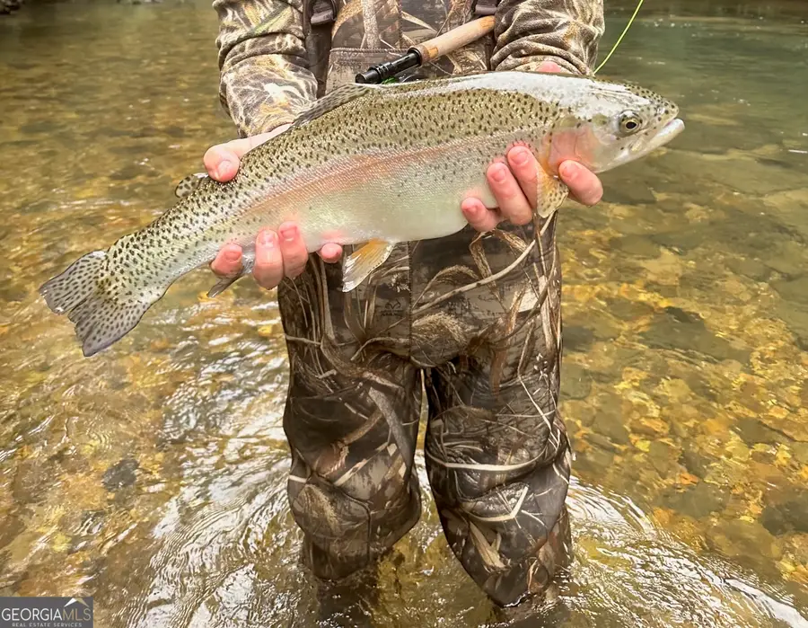 0 Ben Jones Road, Clarkesville, GA 30523 - Image #2