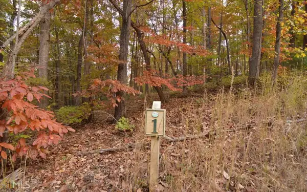 LOT 1 Serenity Ridge, Blairsville, GA 30512