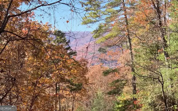 LOT 49 Fires Creek Cove, Hayesville, NC 28904