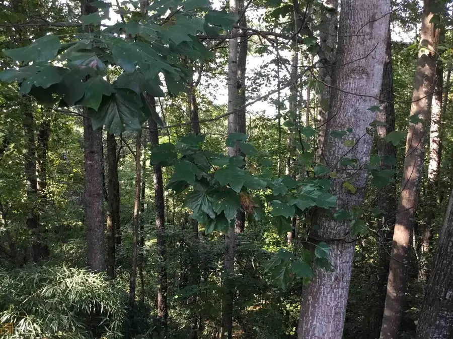 3725 Lochview Drive, Loganville, GA 30052 - Image #3