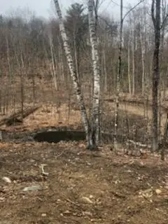 #3