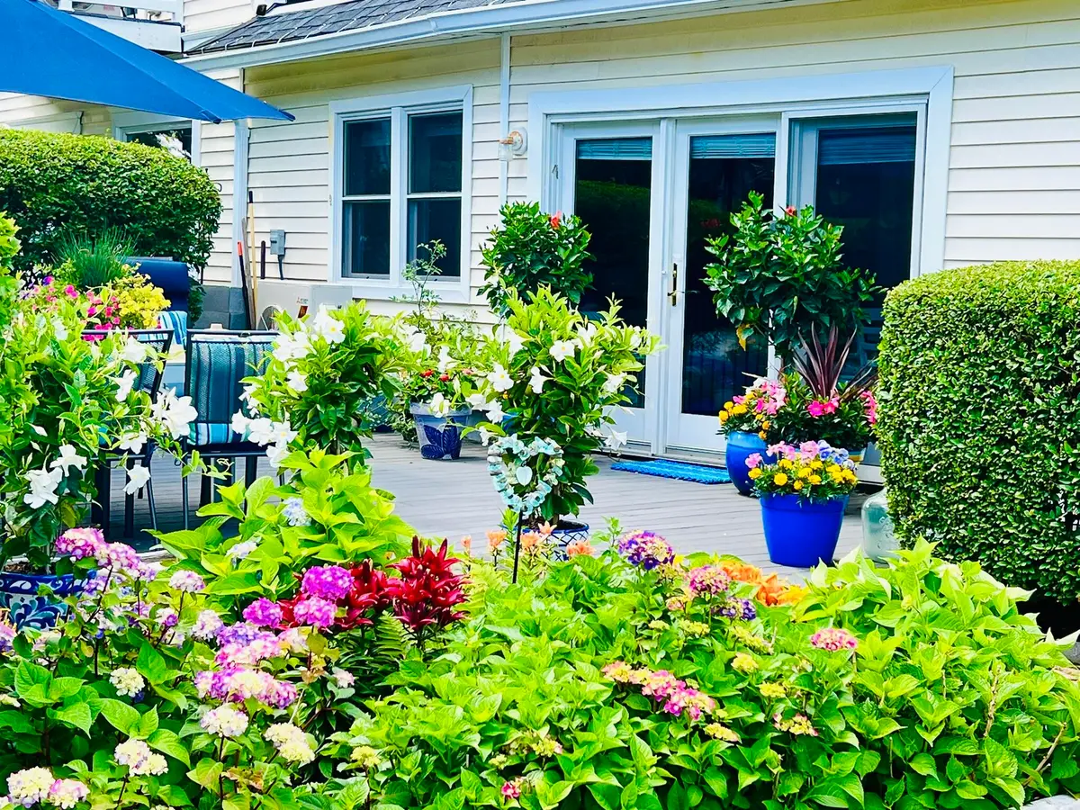 55 Israel Head Road #105, Ogunquit, ME 03907 - Image #1