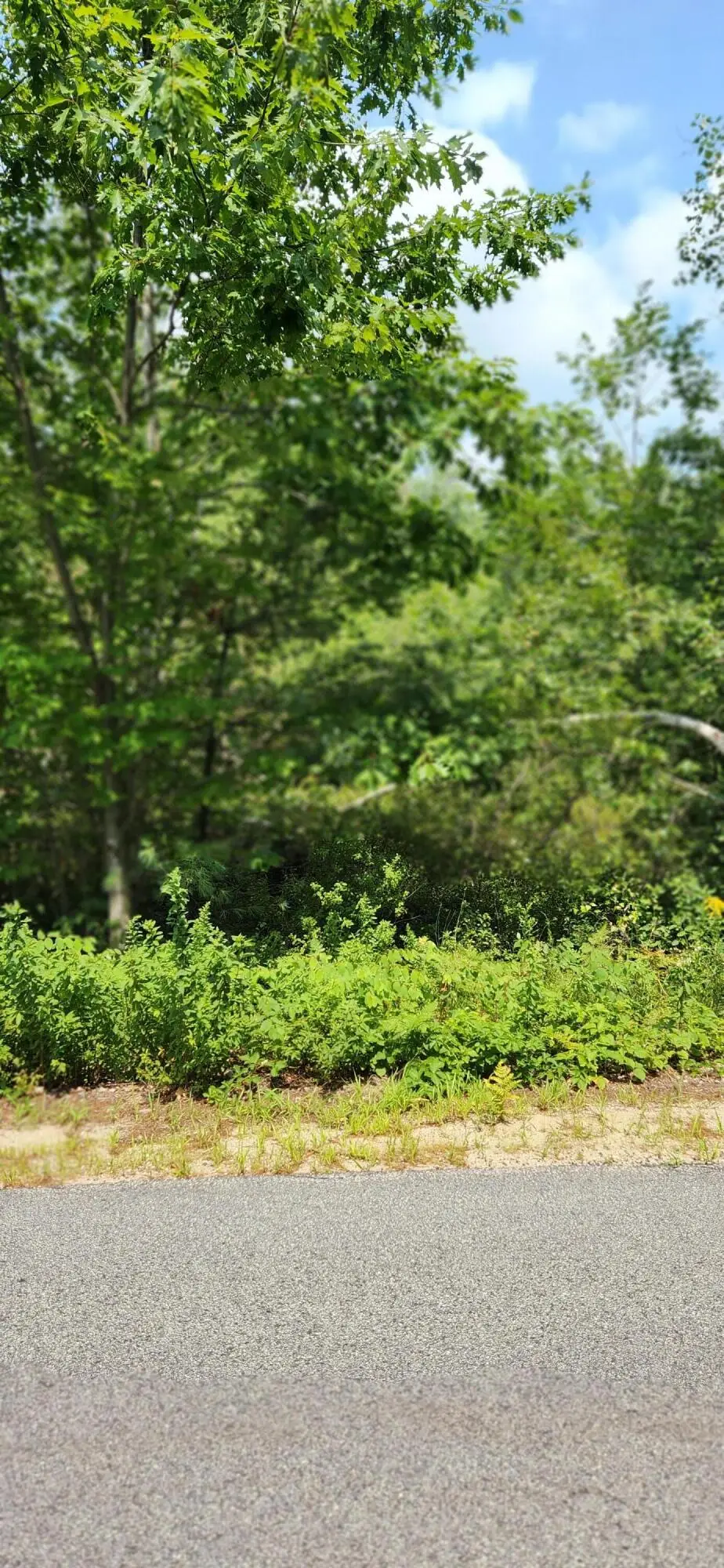 Lot#33 Shore Acres Road, Parsonsfield, ME 04047 - Image #1