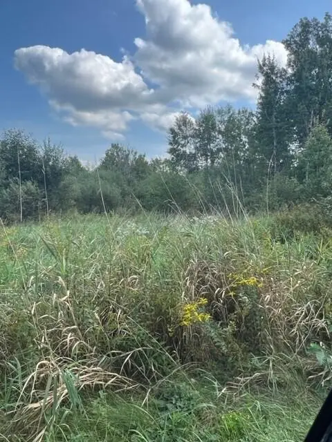 #2