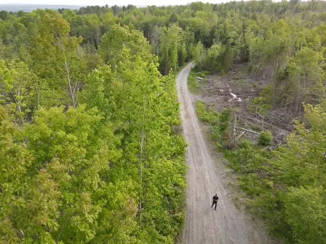 #3