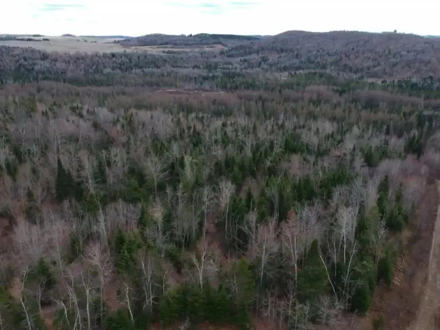 Lot 2a N North Perley Brook Road, Fort Kent, ME 04743 - #2
