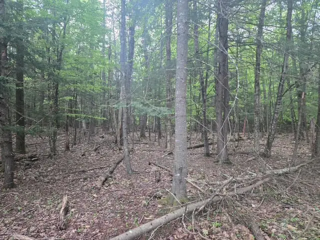 #3