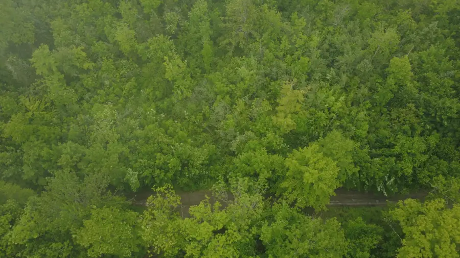 Lot 23 Wilson Road, Atkinson, ME 04426 - Image #3