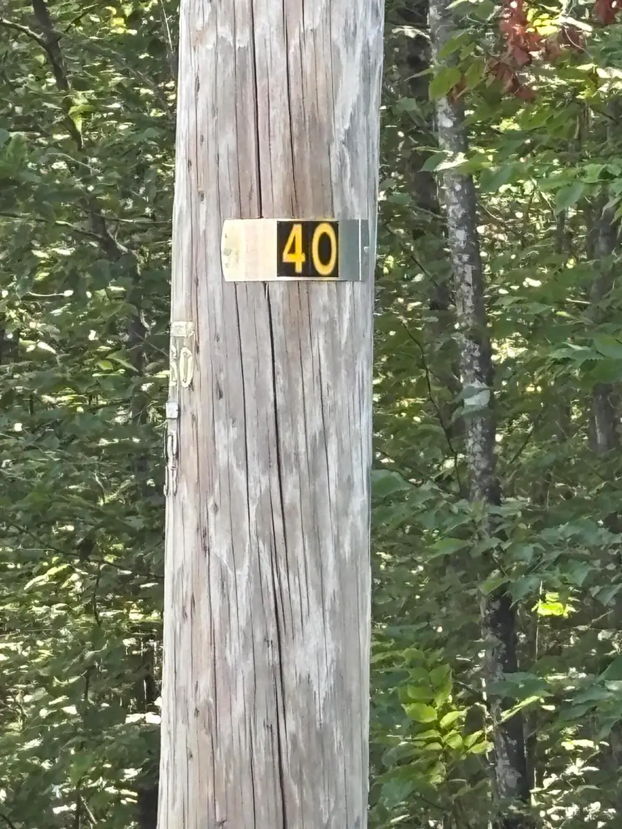 #3