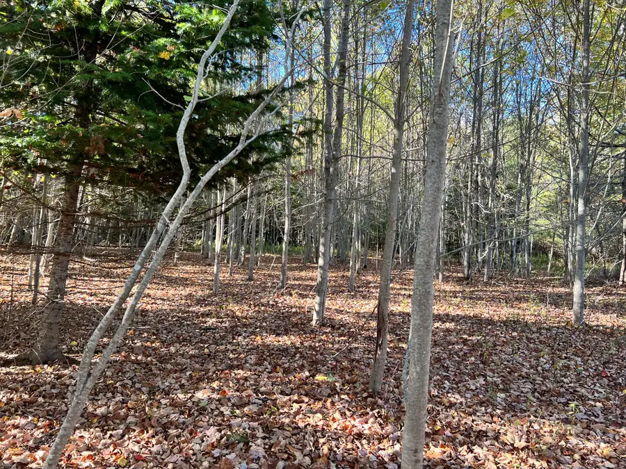 526 Castine Road, Castine, ME 04421 - Image #3