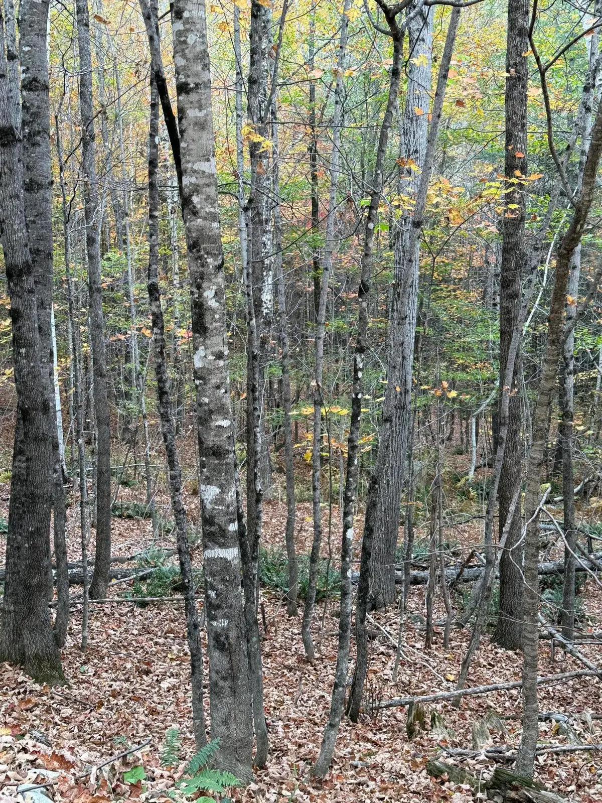 #1