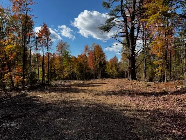 #1
