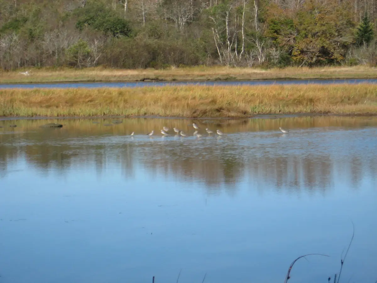 p/o 120 Wescogus Road, Addison, ME 04606 - Image #1