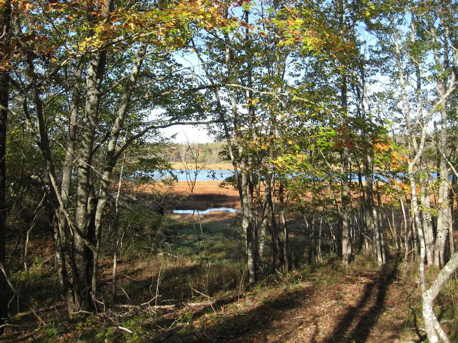 p/o 120 Wescogus Road, Addison, ME 04606 - Image #2