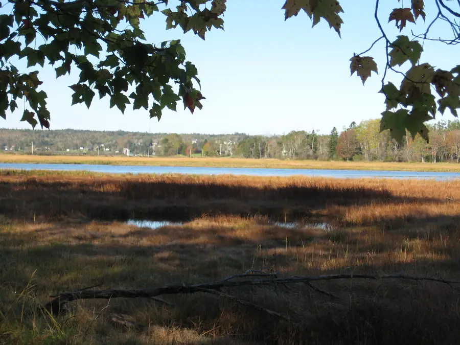 p/o 120 Wescogus Road, Addison, ME 04606 - Image #3