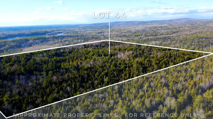 Lot 44&50 Woodman Mill Road Road, Lowell, ME 04493 - Image #3