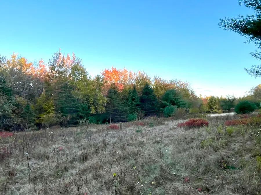 28-10A Morgan Bay Road, Surry, ME 04684 - Image #2