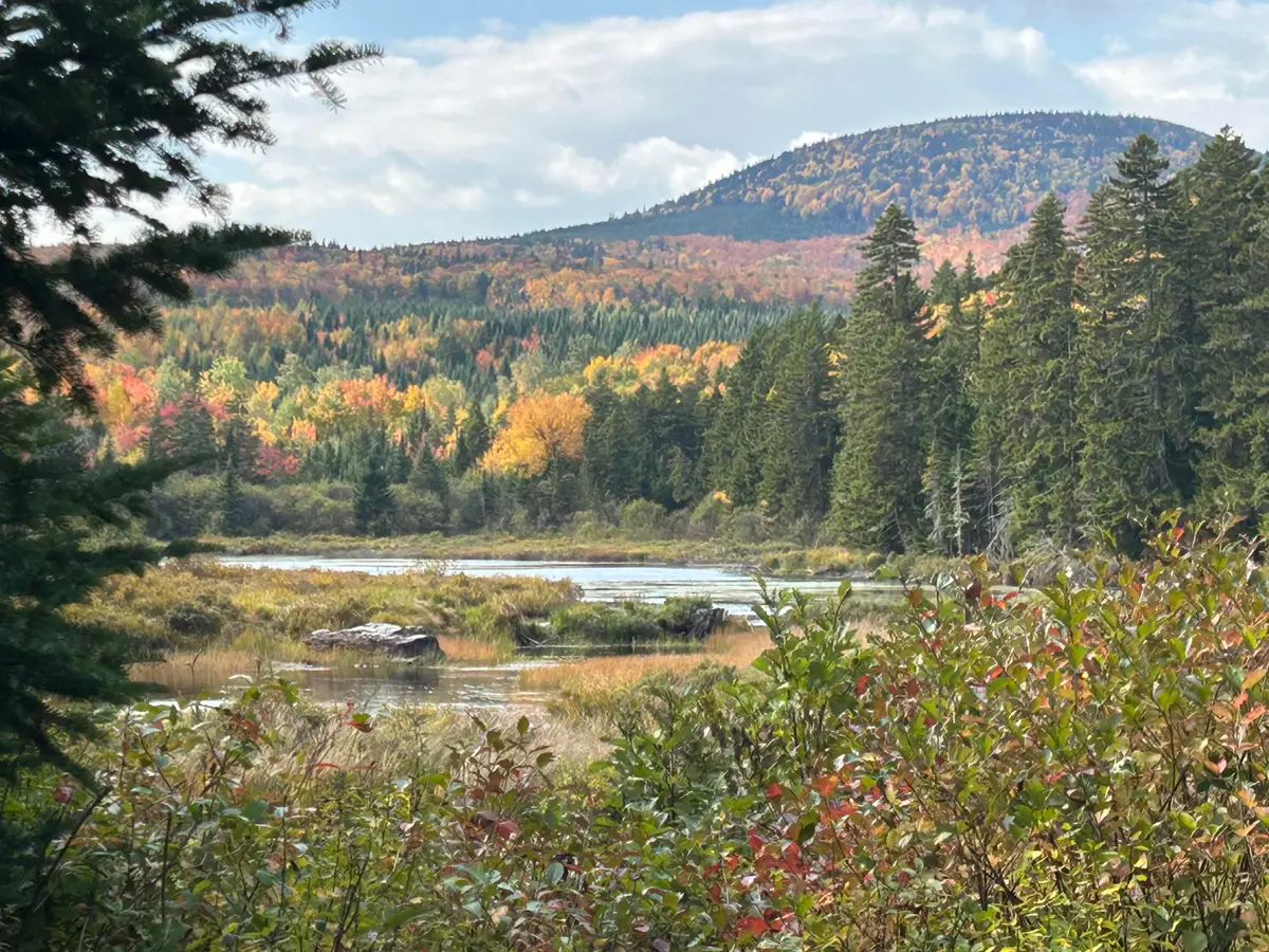 5 Markham Pond Road, Johnson Mountain Township, ME 04945 - Image #1