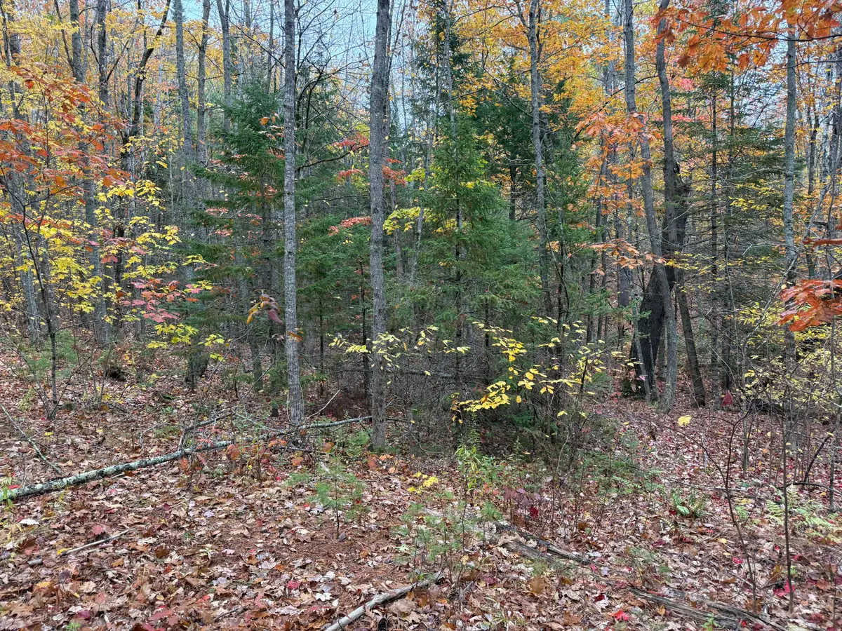 41 Stream Road, Winterport, ME 04496 - Image #1