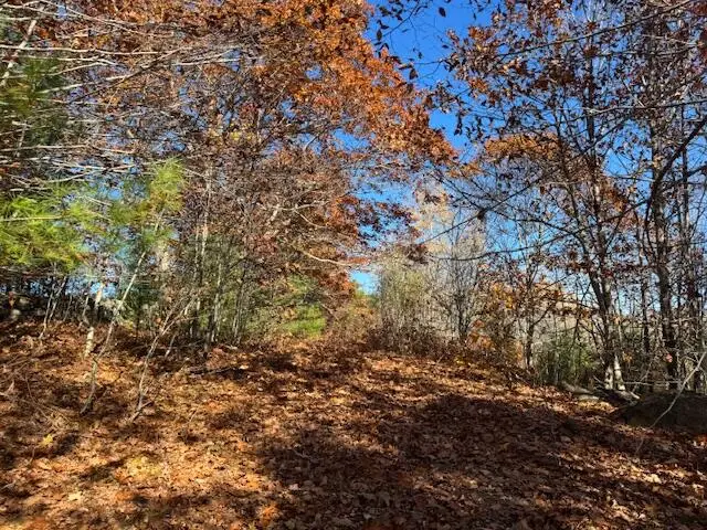 Lot 50-002 Tolman Road, Warren, ME 04864 - Image #2