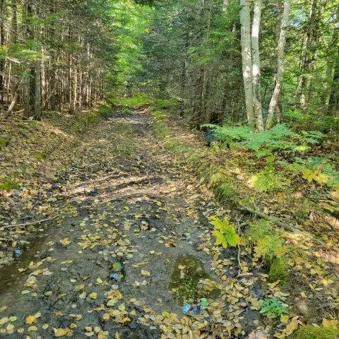 862 Hemore Road, Hammond, ME 04730 - Image #1