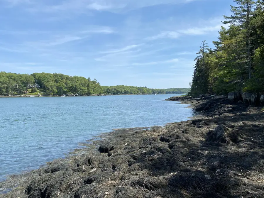 13 Porcupine Lane, Westport Island, ME 04578 - Image #2