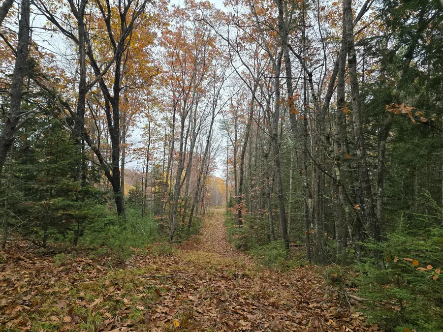 00 W Alna Road, Alna, ME 04535 - Image #3