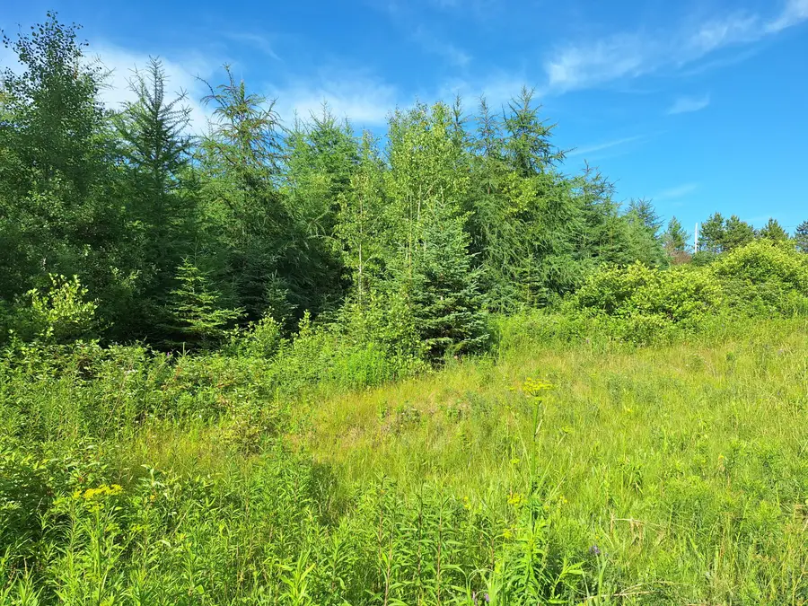 Lot 36-D Grimes Road, Caribou, ME 04736 - Image #3