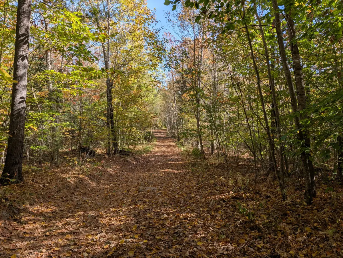 0 Gibbs Mill Road, Livermore, ME 04253 - Image #1
