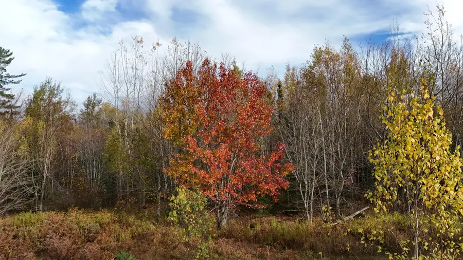00 Babcock Road, Hampden, ME 04444 - Image #3