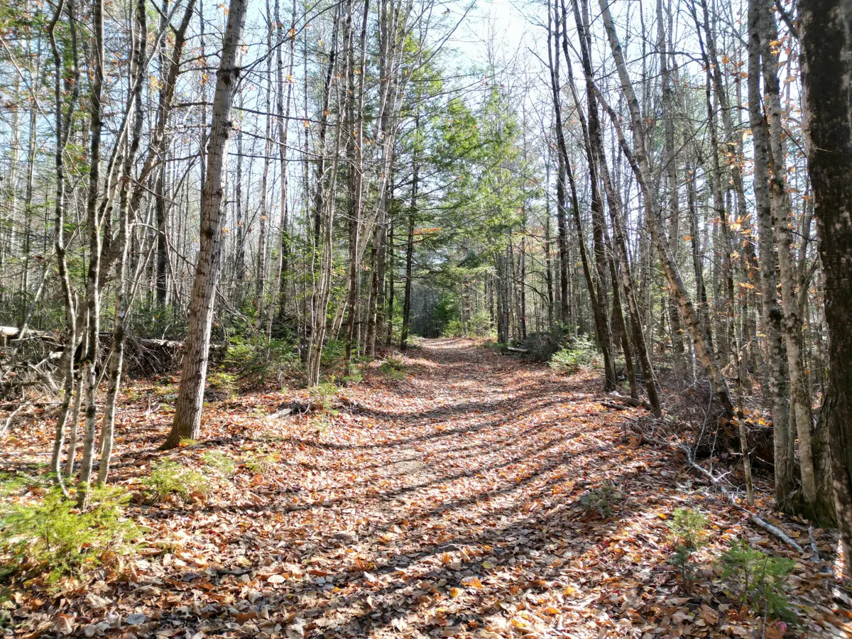 Lot 8A James Way, Lincoln, ME 04457 - Image #1