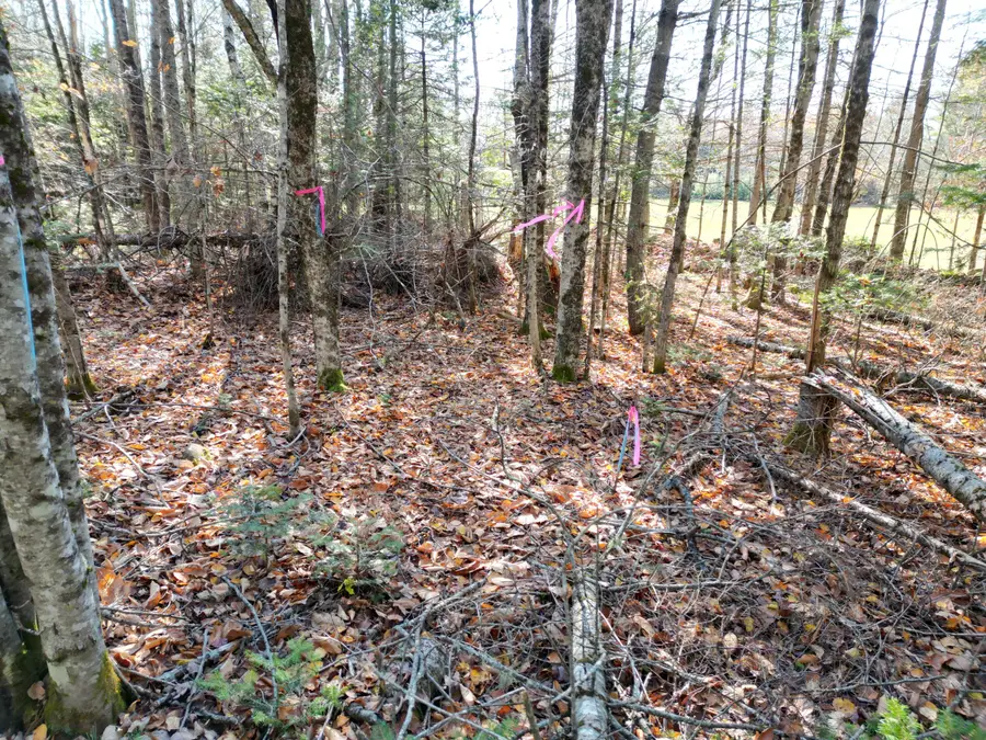 Lot 9A James Way, Lincoln, ME 04457 - Image #3